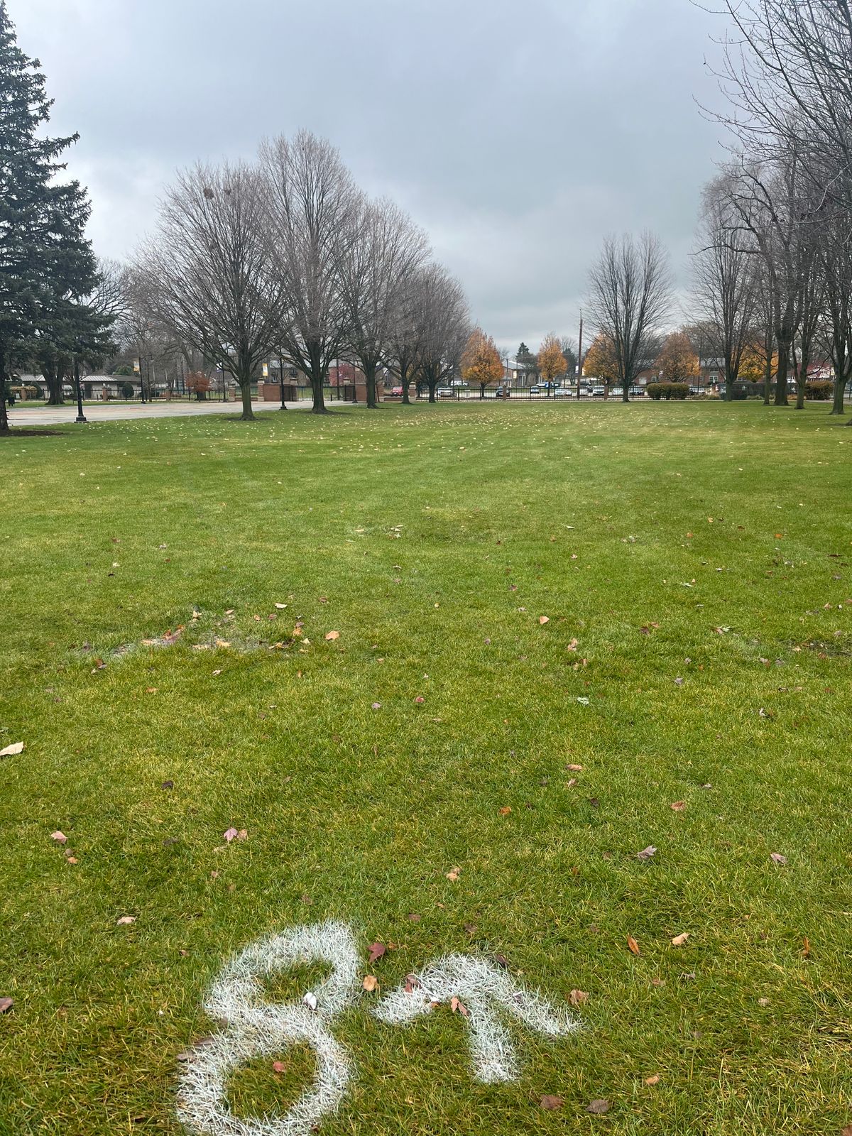 Hole 8 Tee