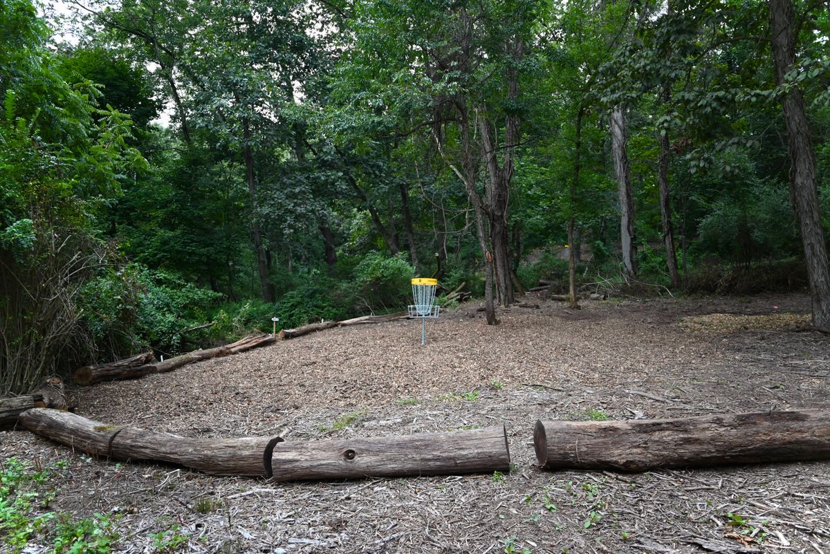 Hole 8's green
