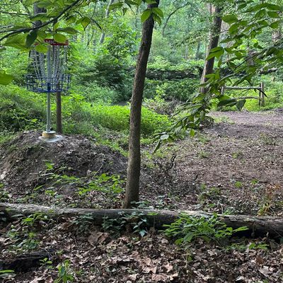 Hole 6 Basket looking back towards the Teepad 
Can Kindve see the small spring in this picture