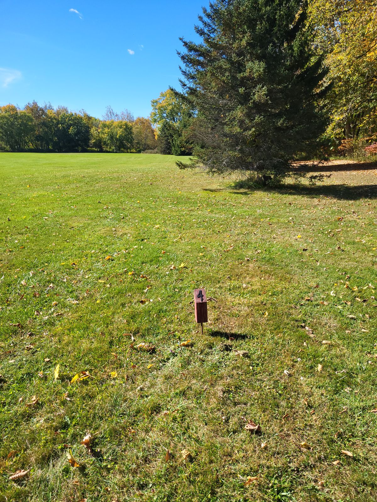 Hole 4 tee