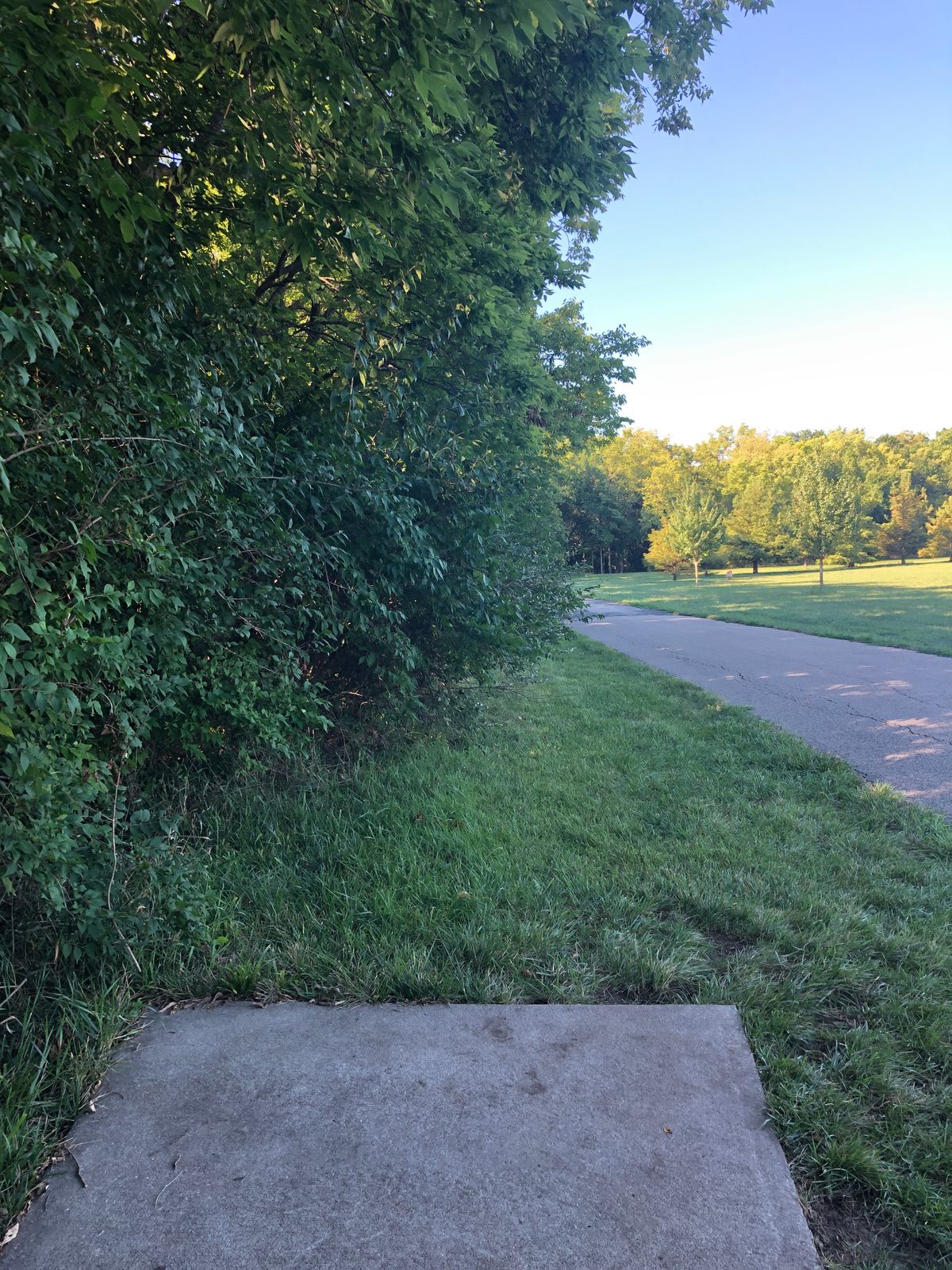 Hole 18 - fairly overgrown at the moment.