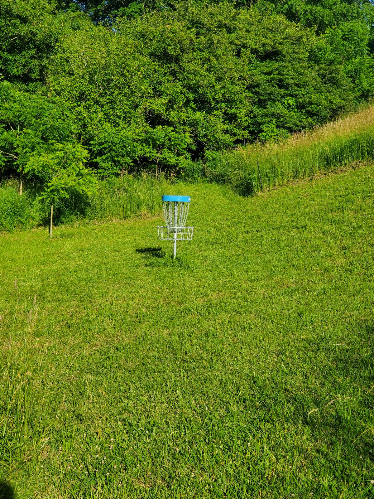 Hole 1A island