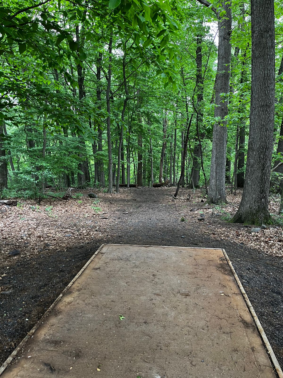 Hole 18 tee