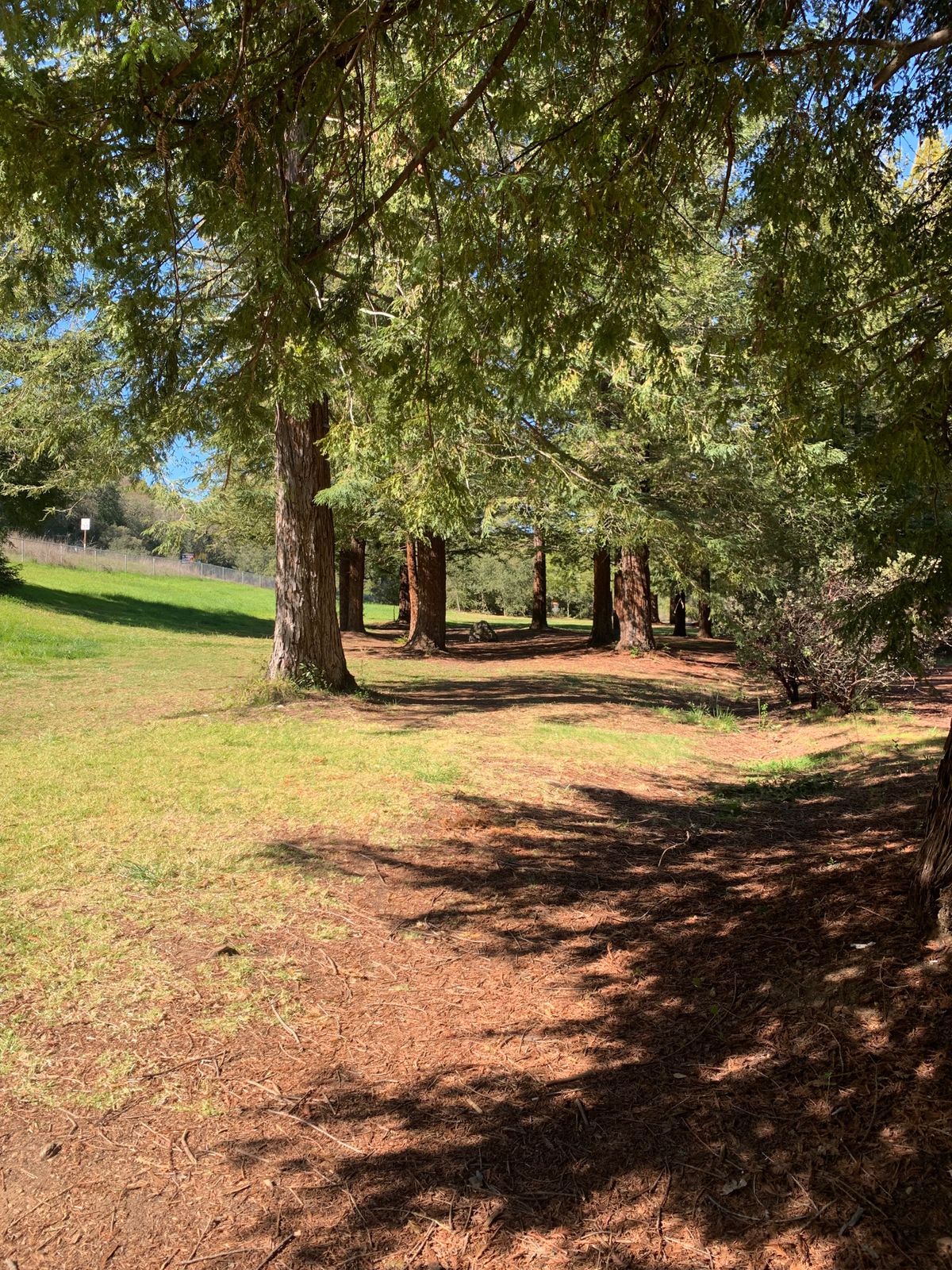Hole 9/19