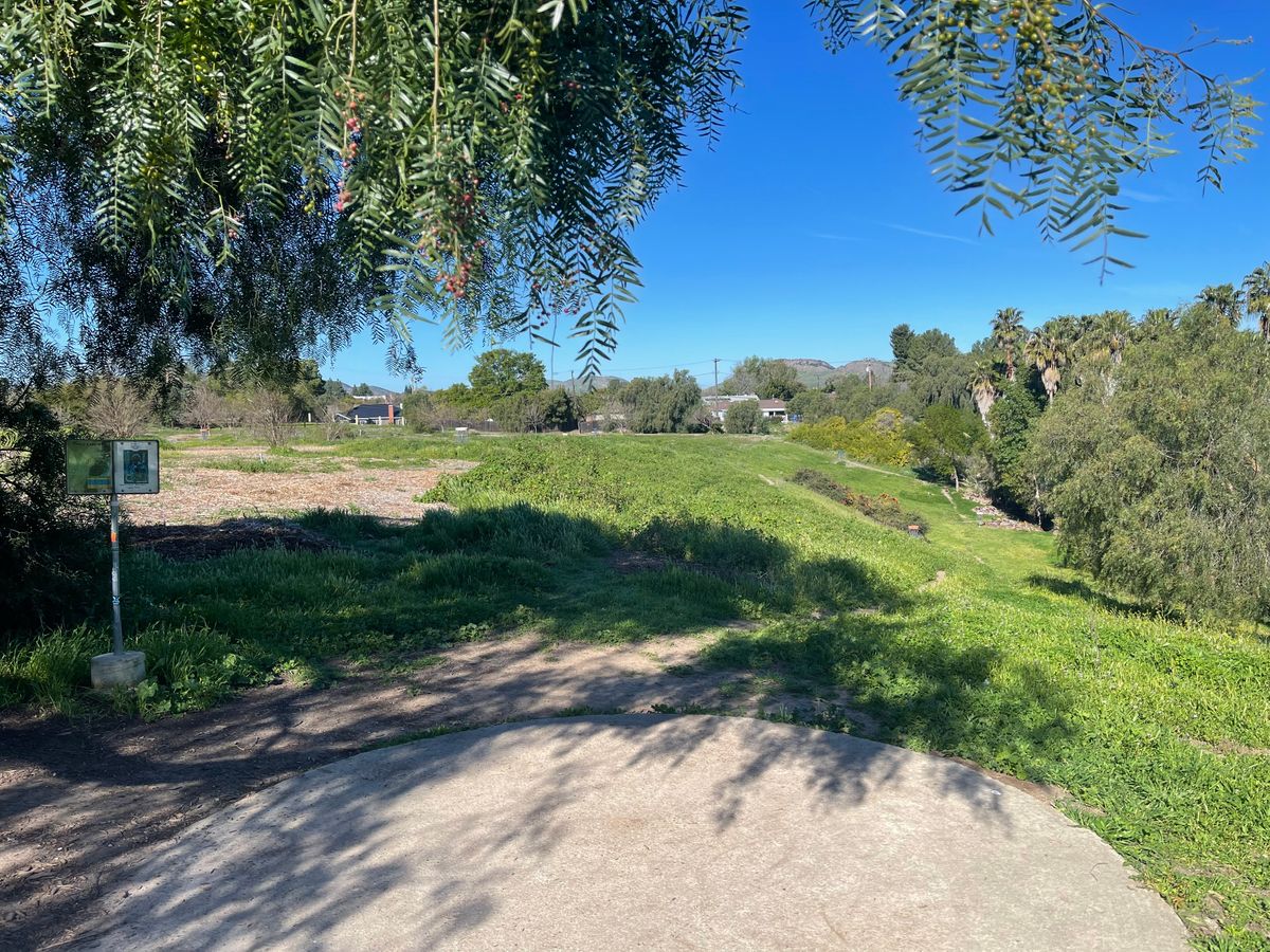 Hole 6 Tee