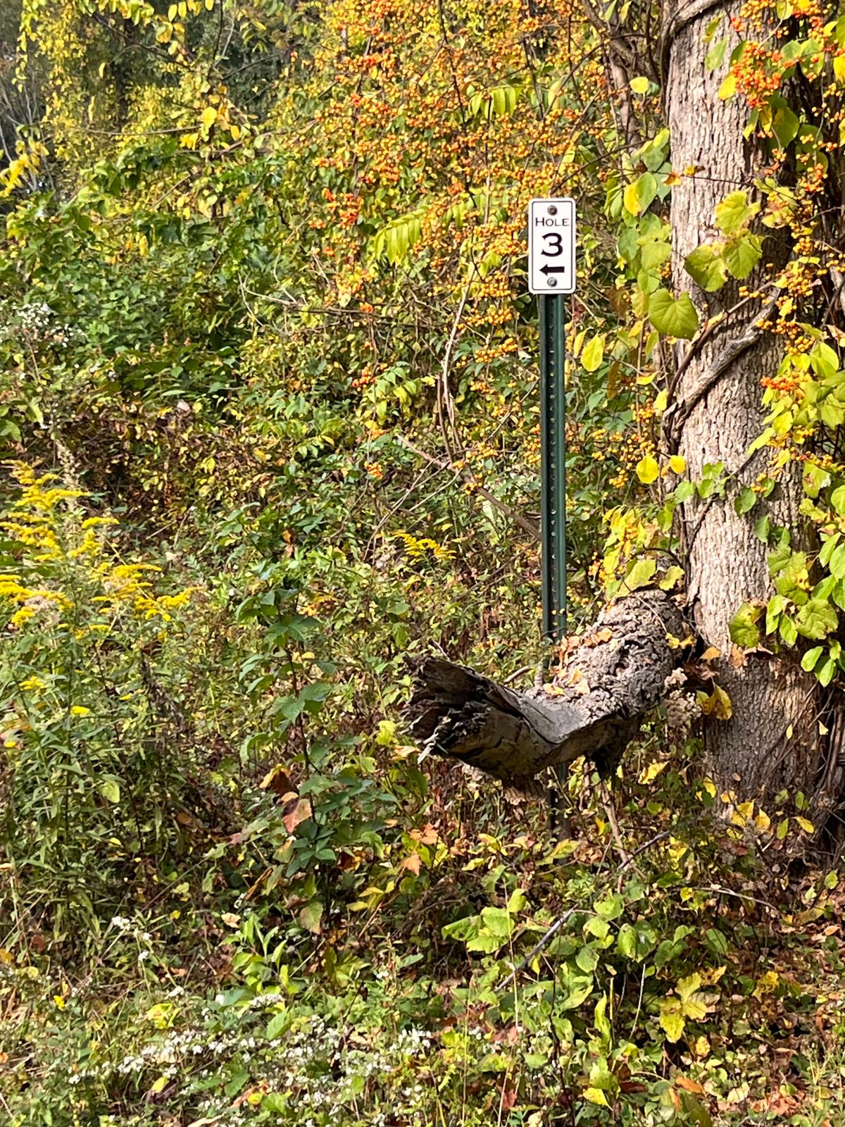 Directional arrows