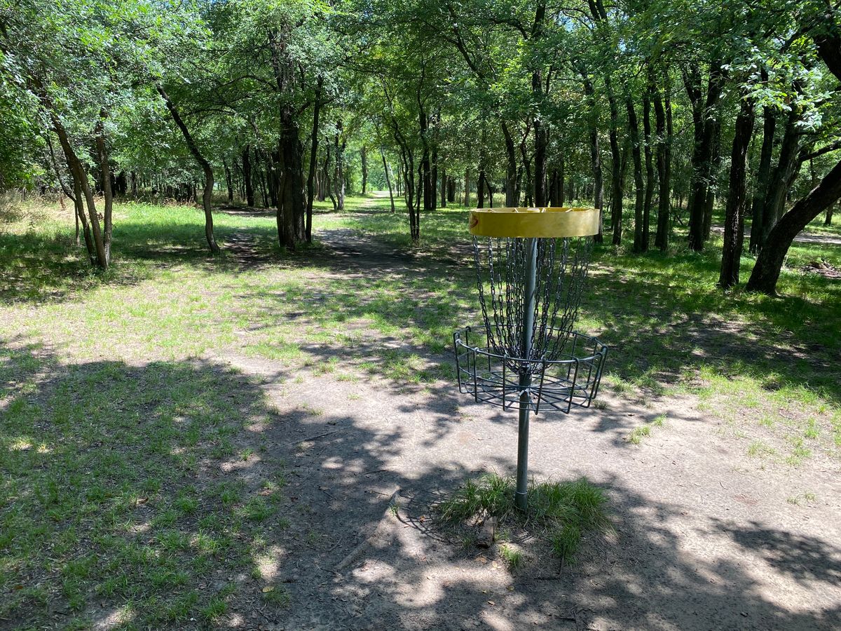 Hole 7 Basket