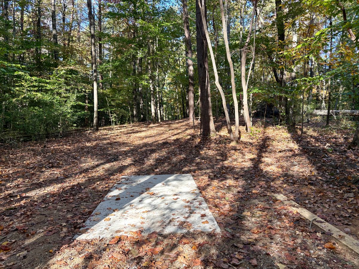 Hole 5 tee
