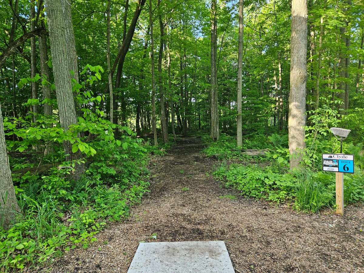 Hole 6 Spring 2024