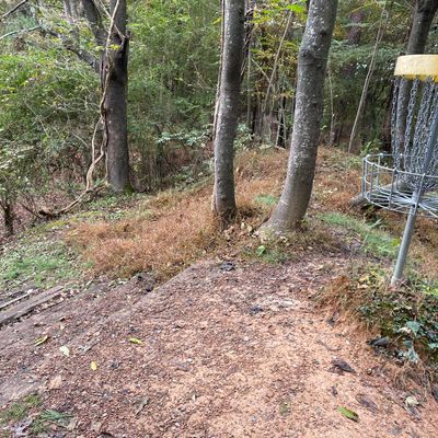 Hole 15 with those roleaways