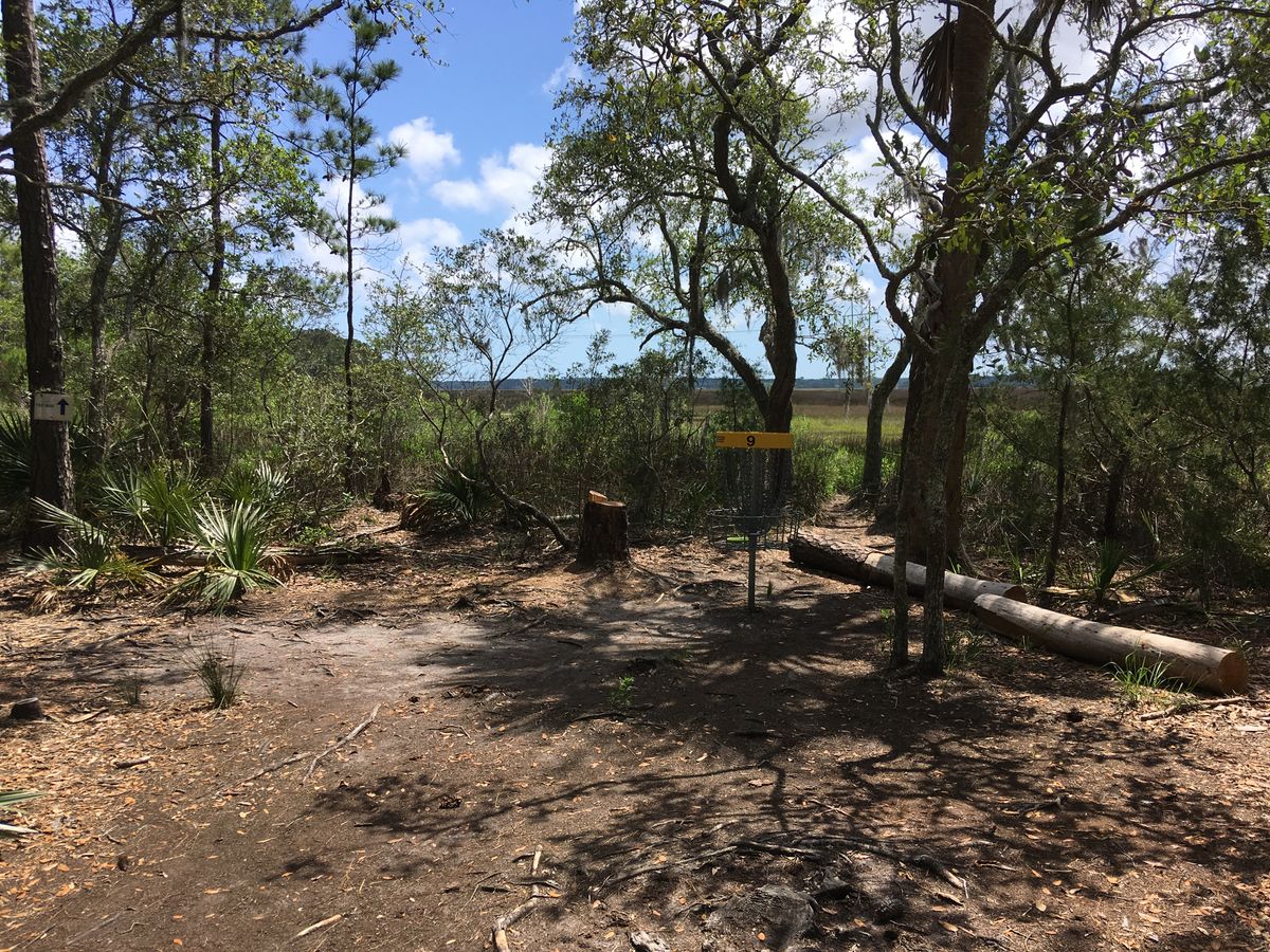 Hole 9 - On the marsh.