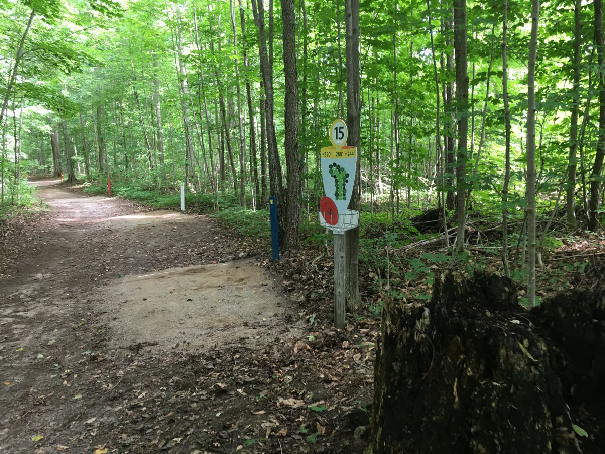 Tee pad 15.🌳🇨🇦🪵🍀🇨🇦