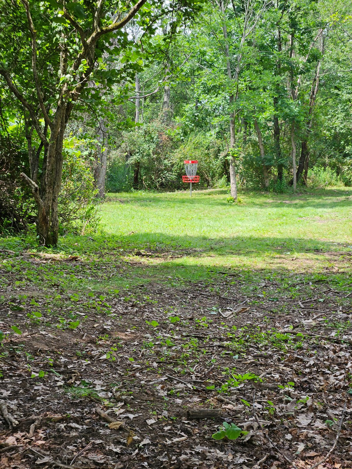 Hole 5 approach