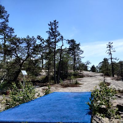 Course photo