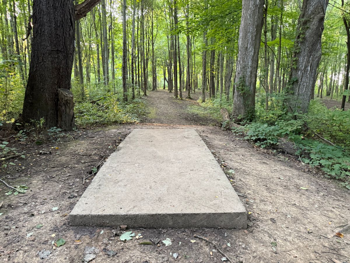 Hole 6 Tee