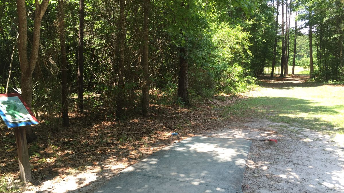 Hole 13