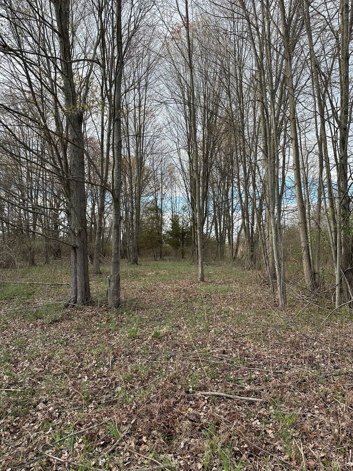 Proposed 9