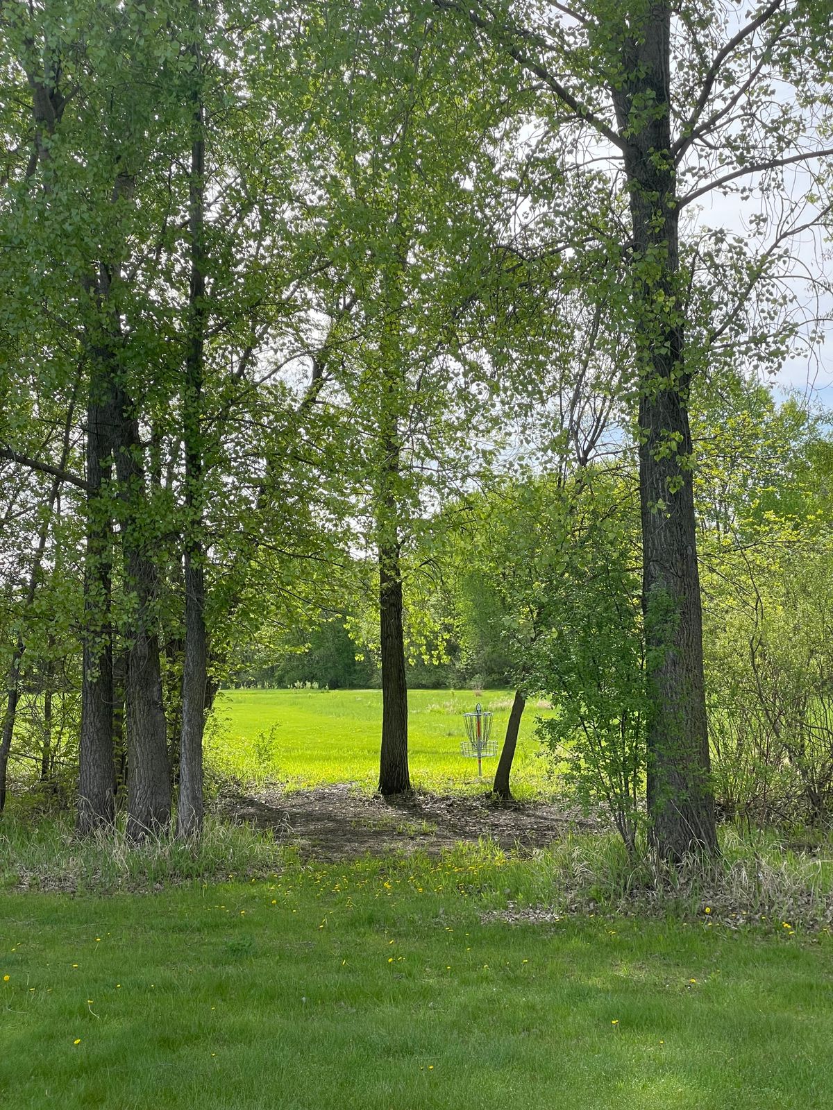 Hole 6 basket