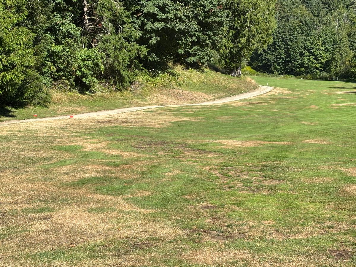 Hole 13 blue tee pad. Basket is up the hill on the left