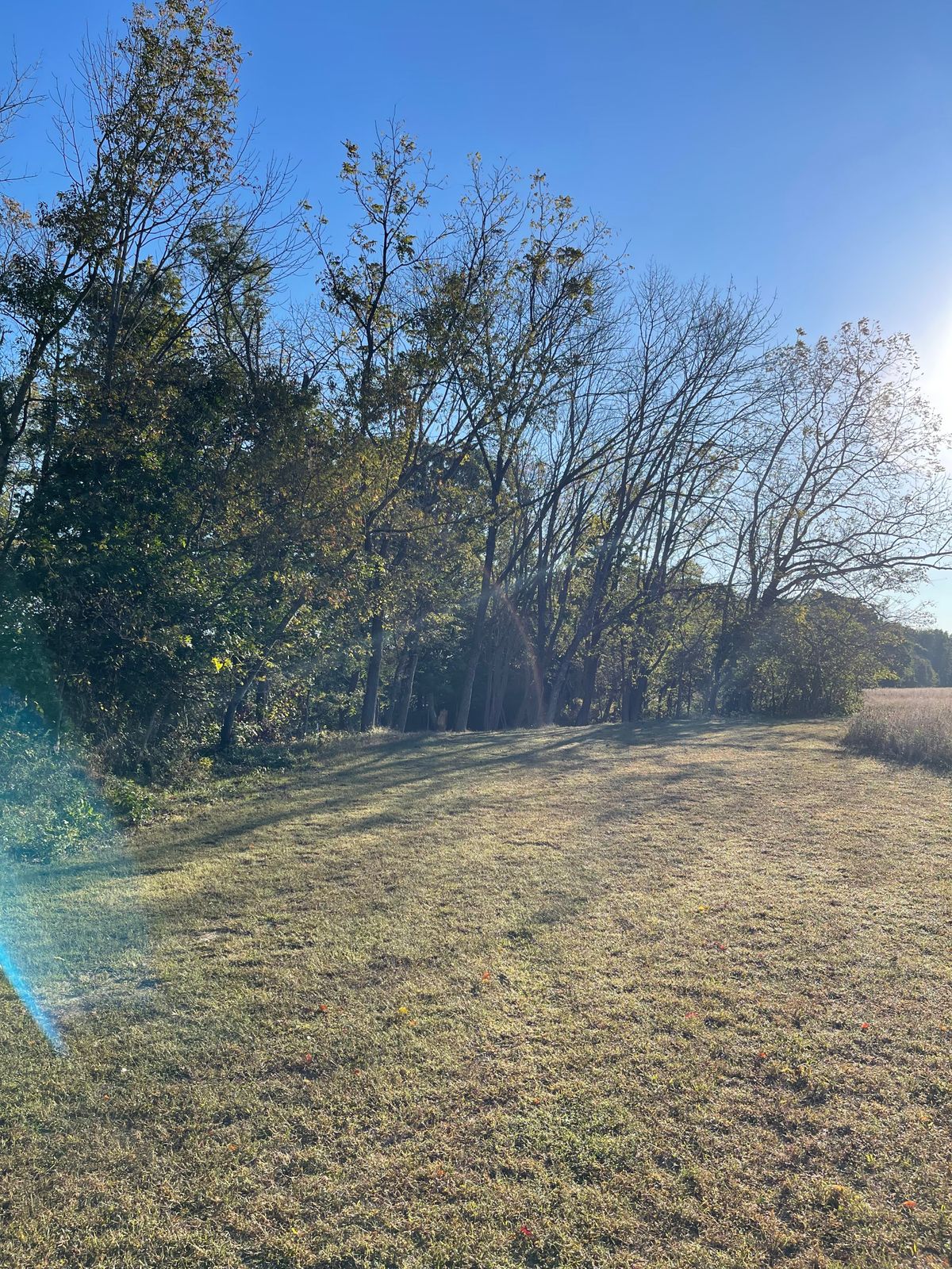 Hole 7 woods gap into tee