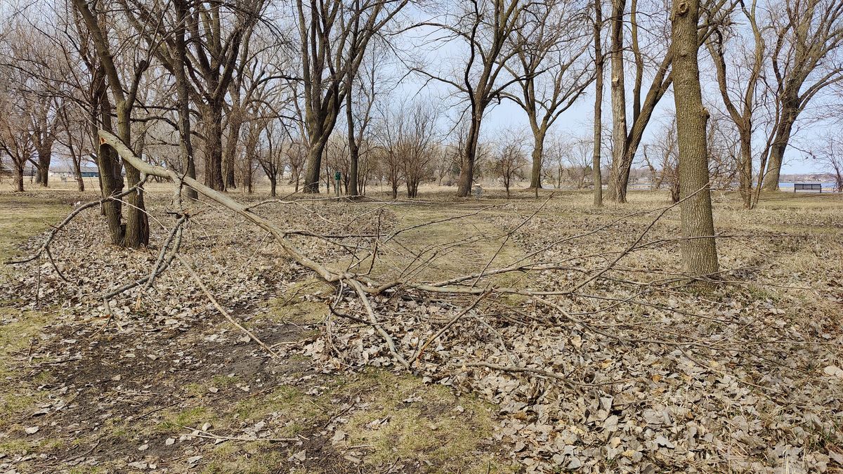 I obstructed path from pin of home 4 to tee pad of hole 5.