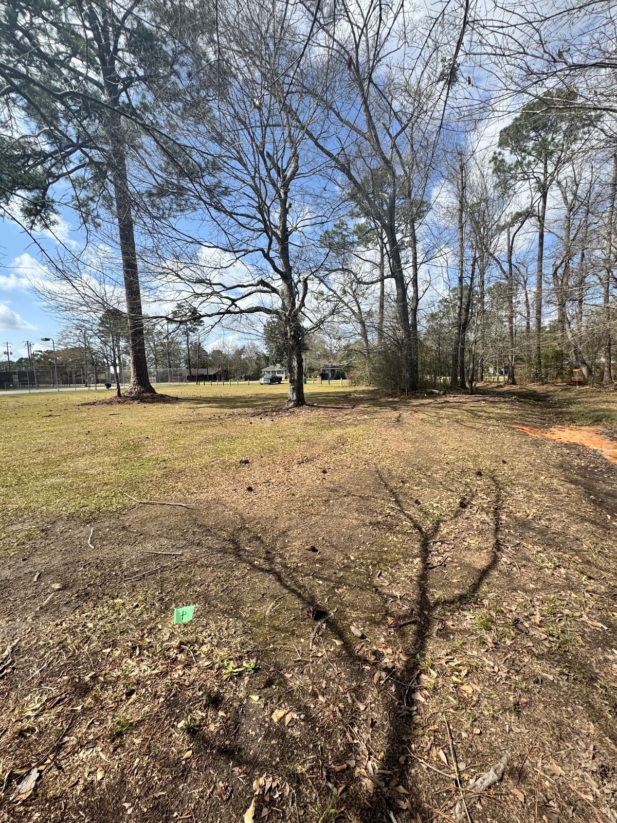 Hole 4 tee