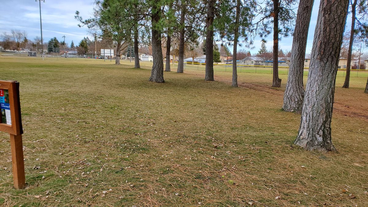 Tee pad 2