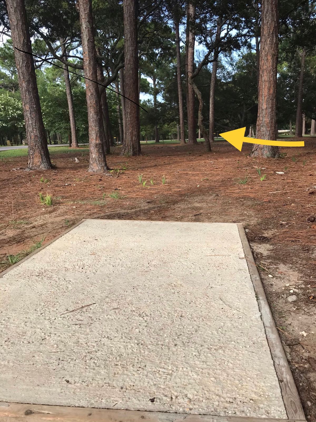 Amateur tee, 1st hole