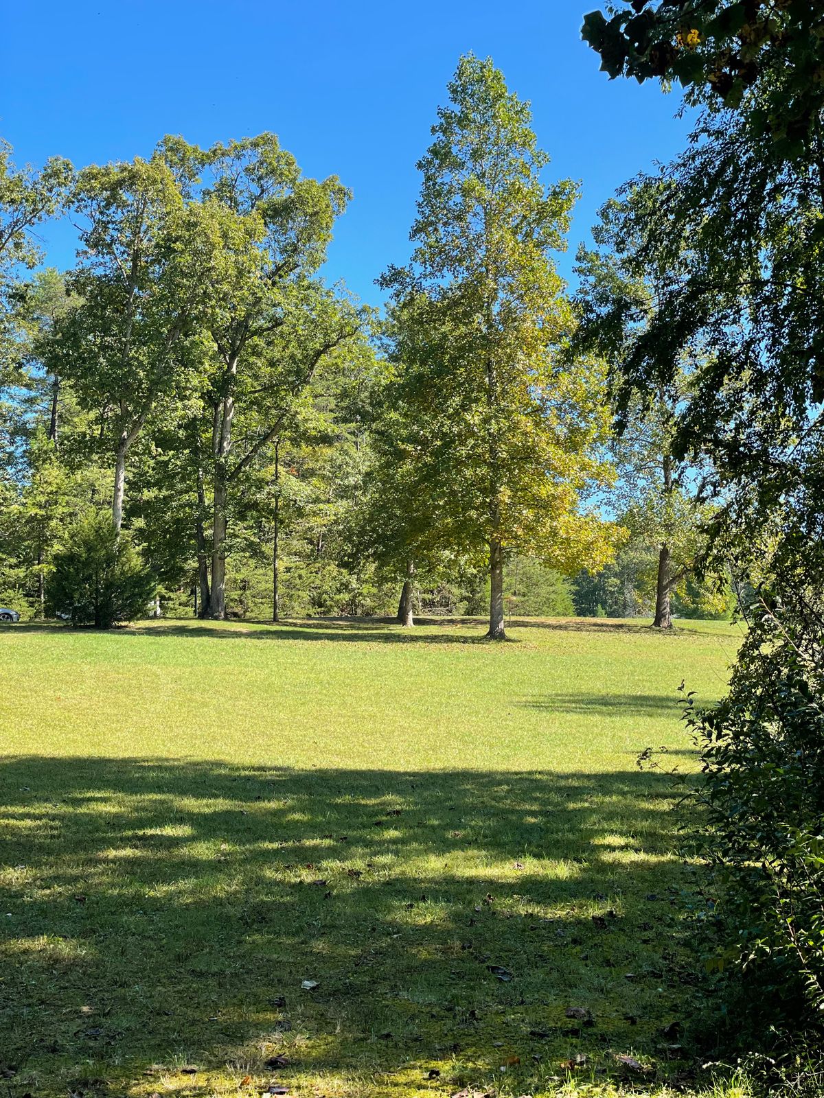 Hole 9
