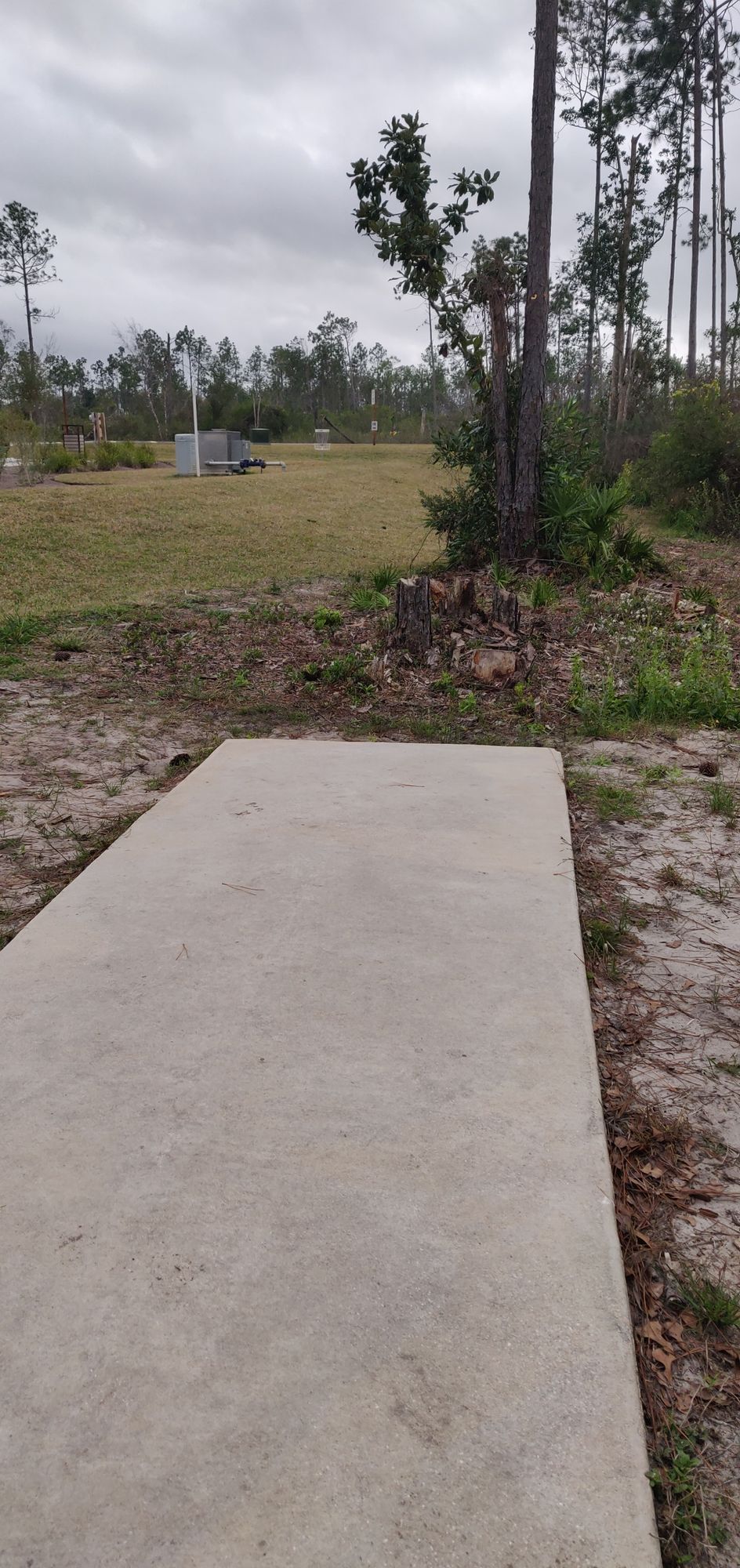 Hole 13 pad