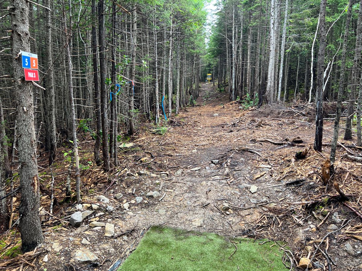 Hole 5 Tee