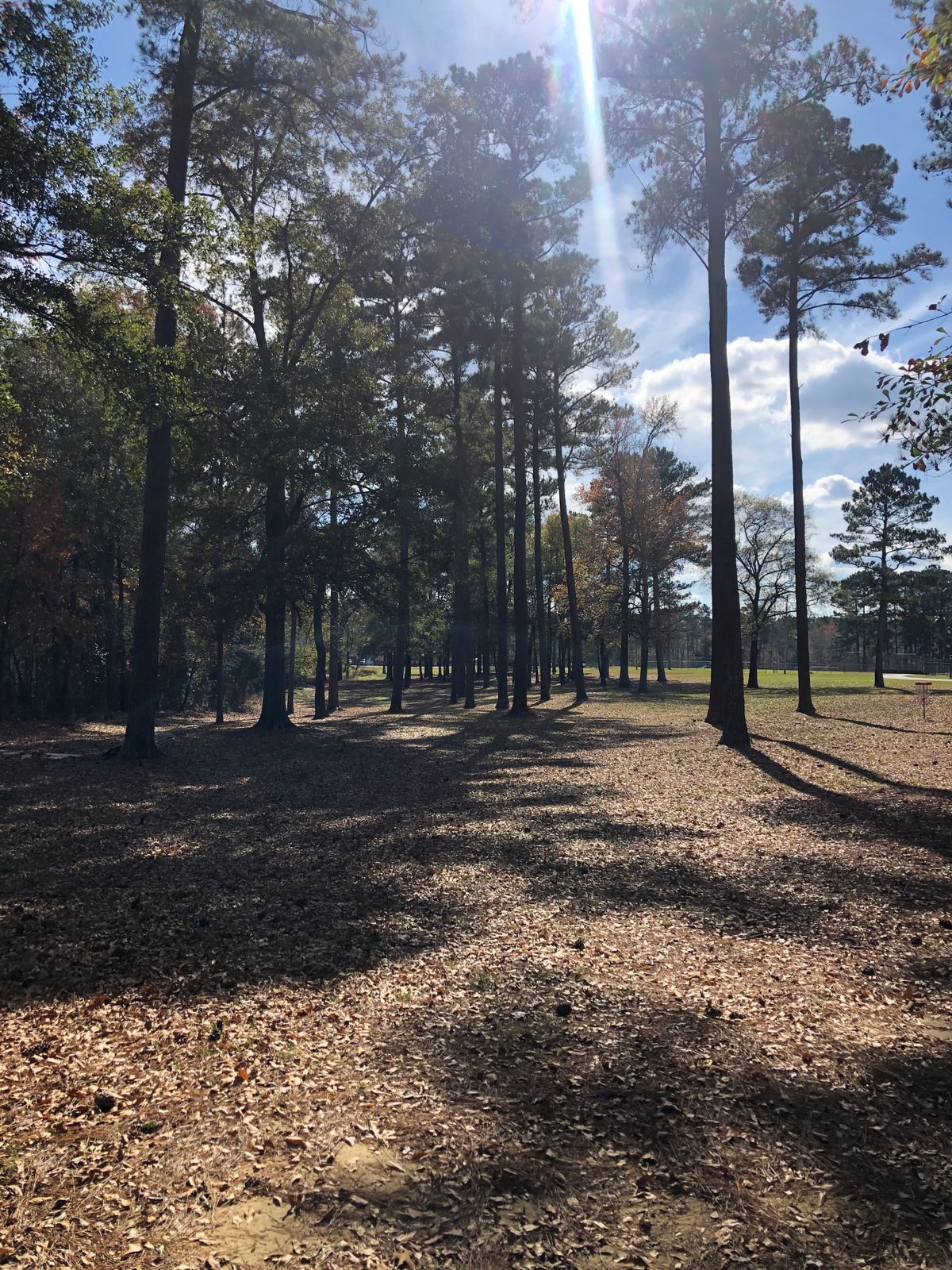 Hole 17