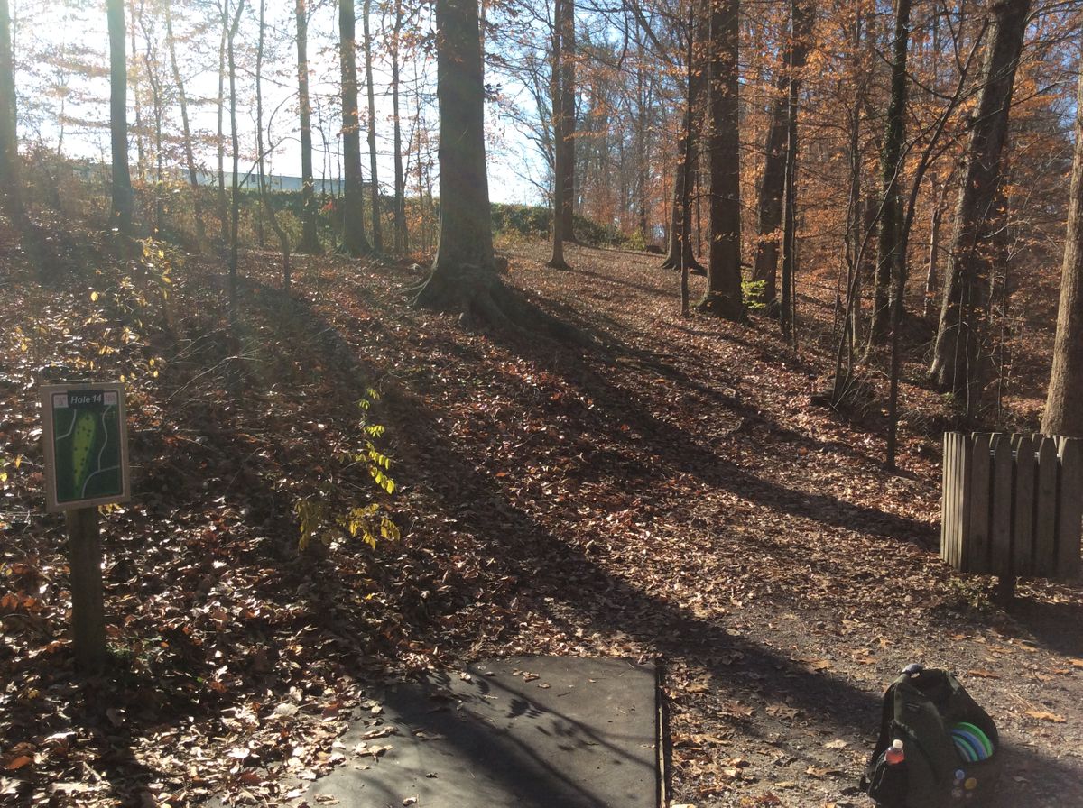 Hole #14