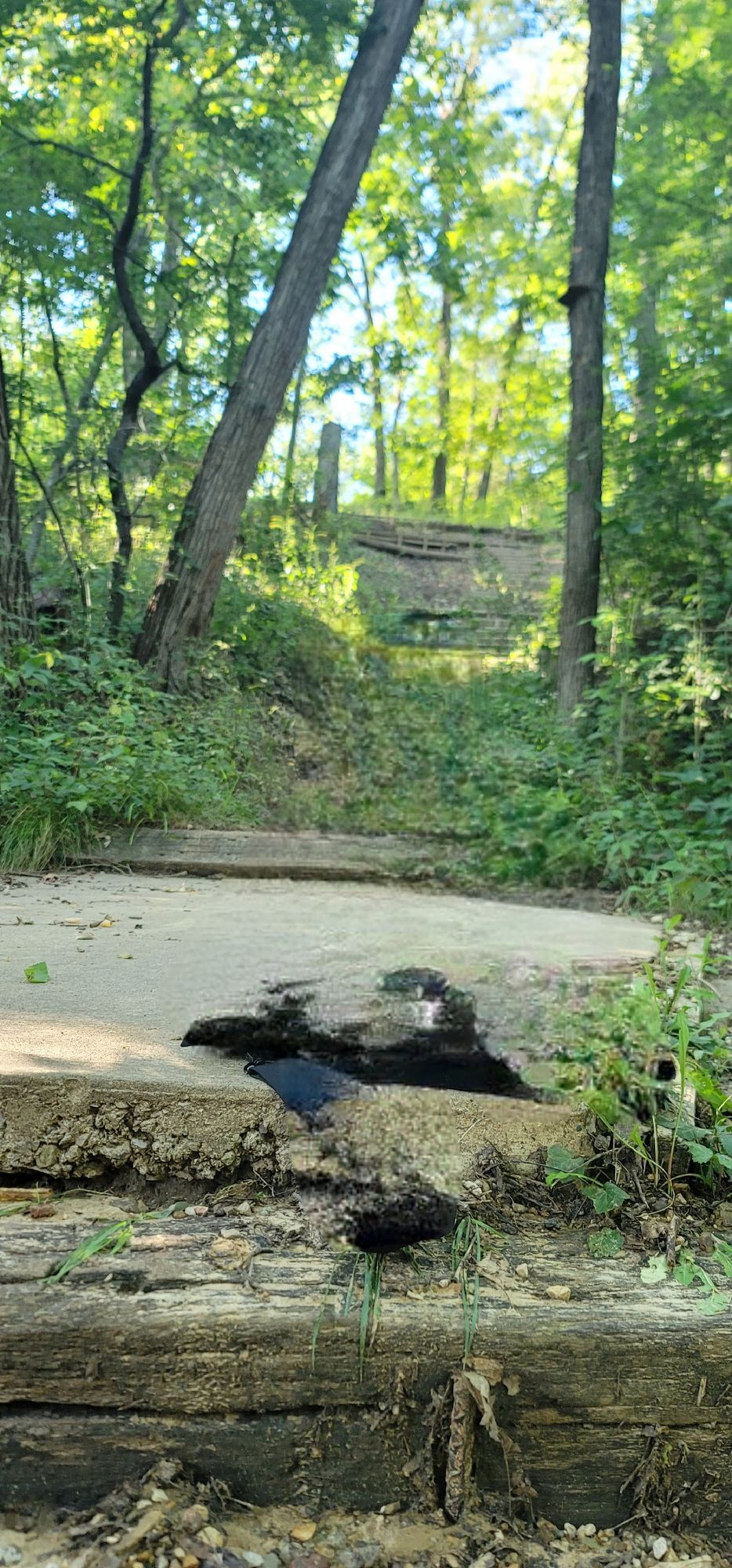 Hole 16, straight up hilll.