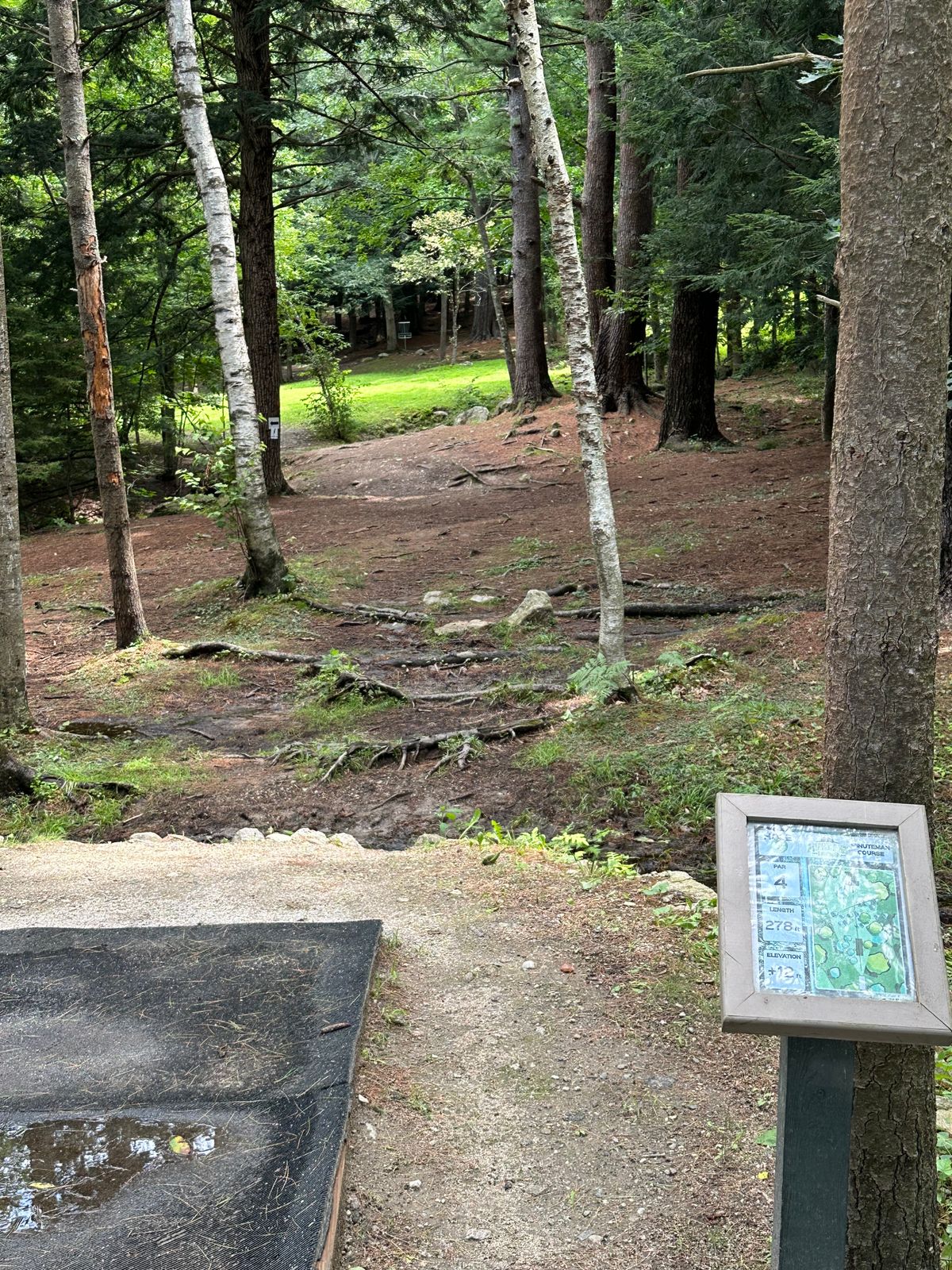 Hole 4