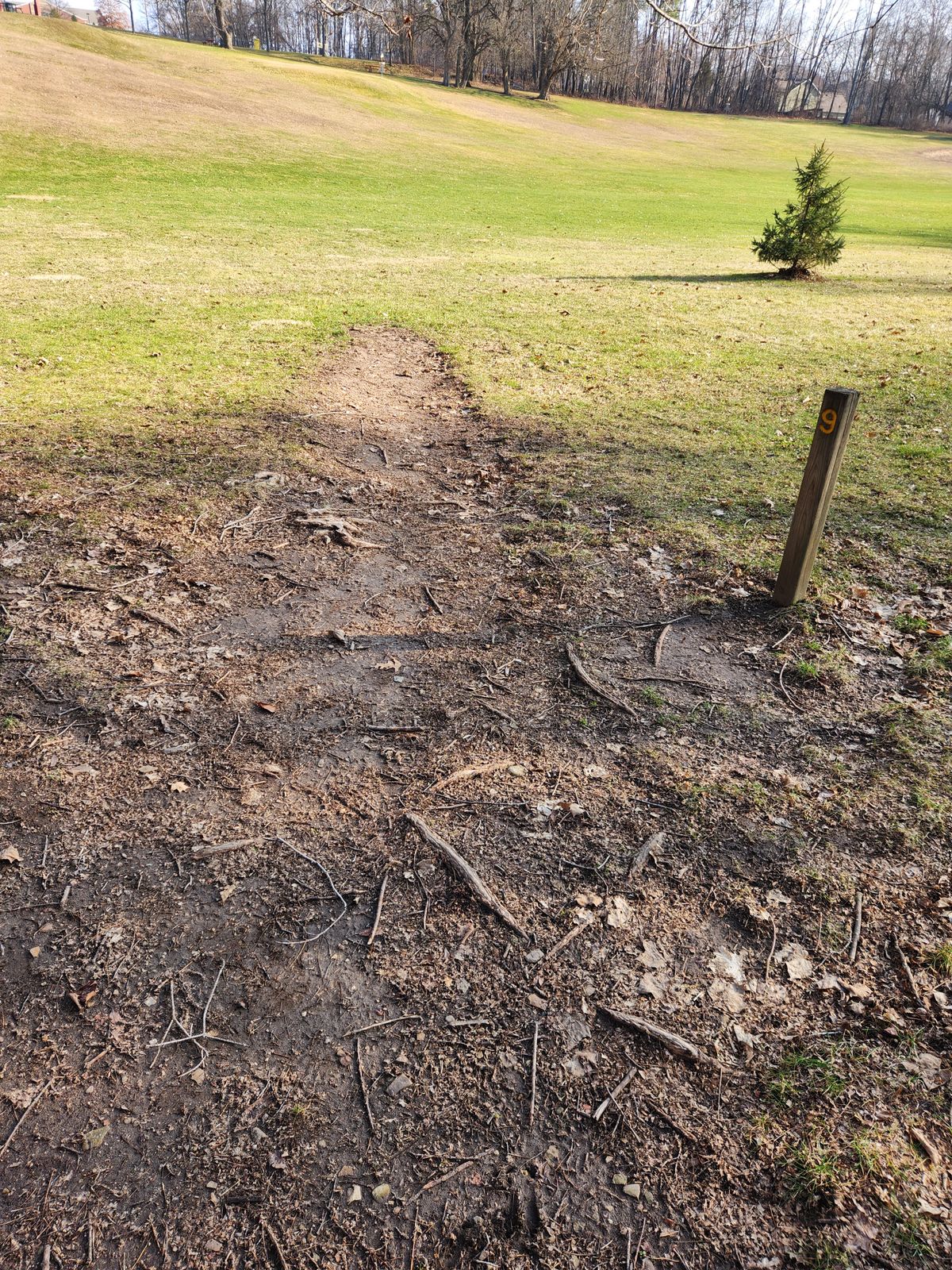 Tee areas are not level and have tree roots sticking up.