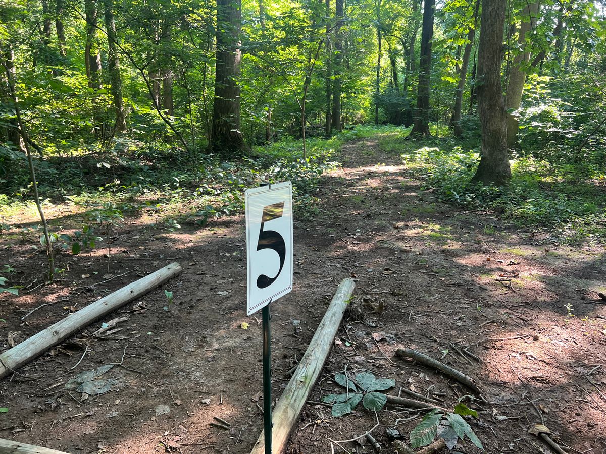 Hole 5 Tee