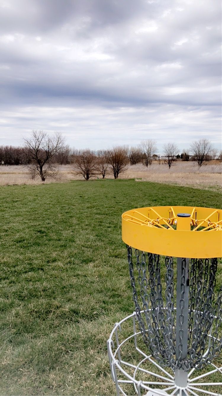 View from 14 Basket back to Tee