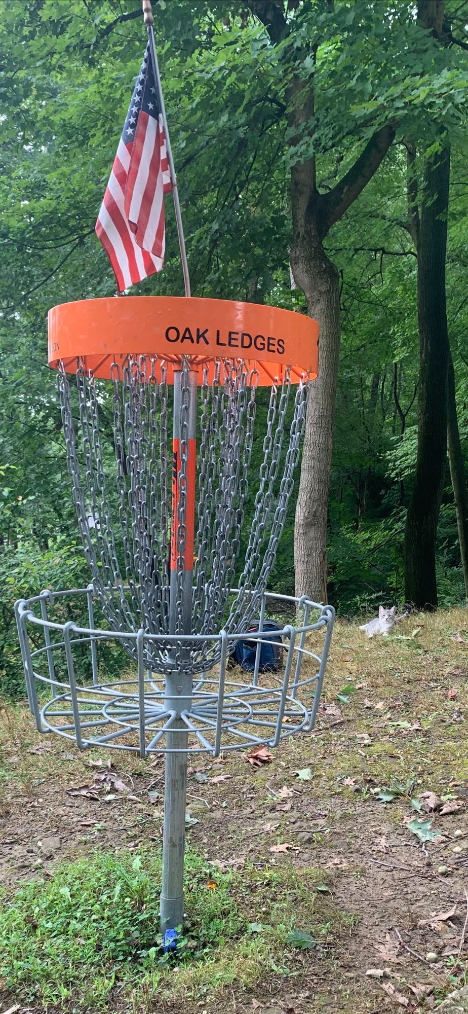 hole 9!