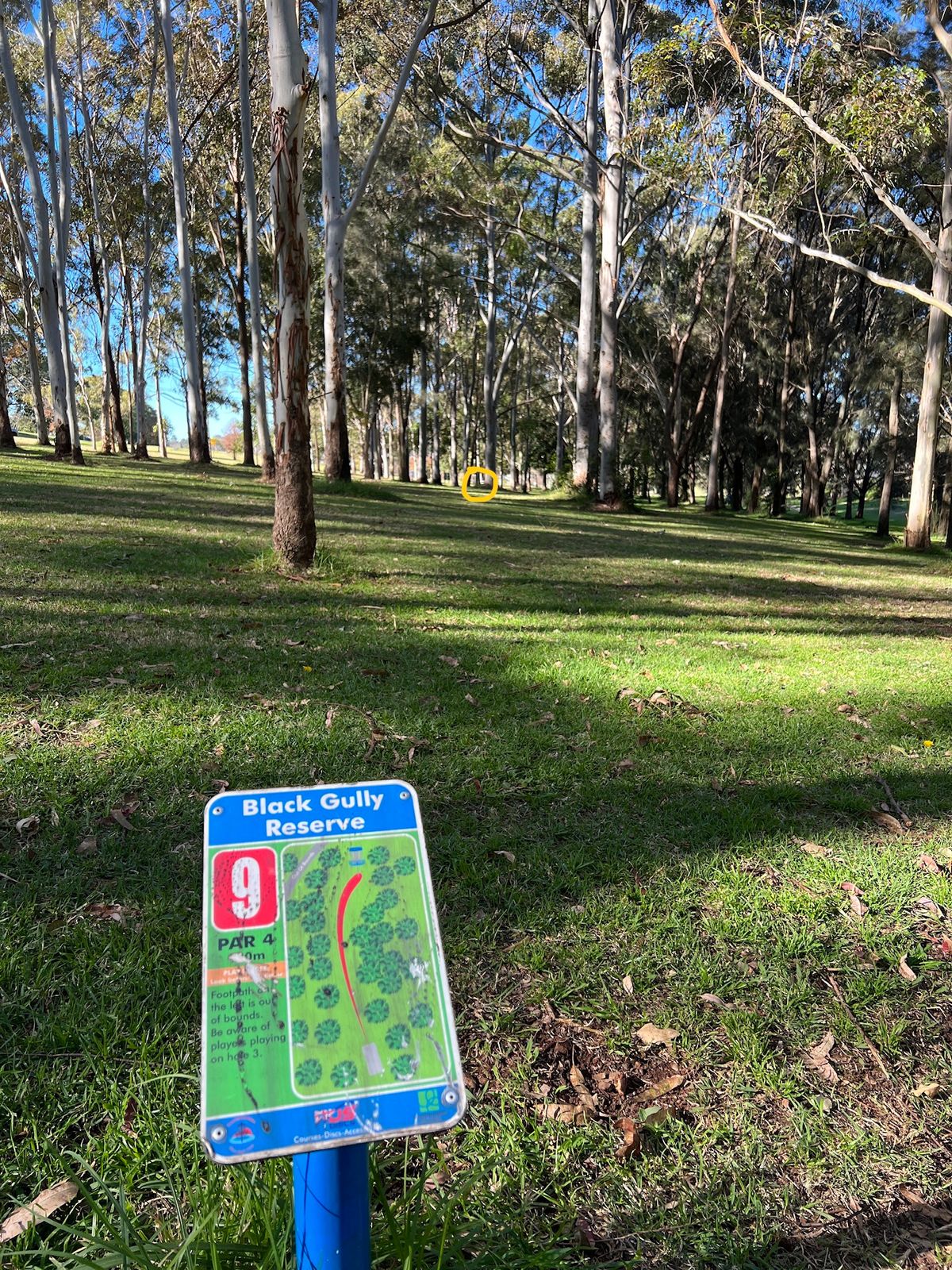 Hole 9