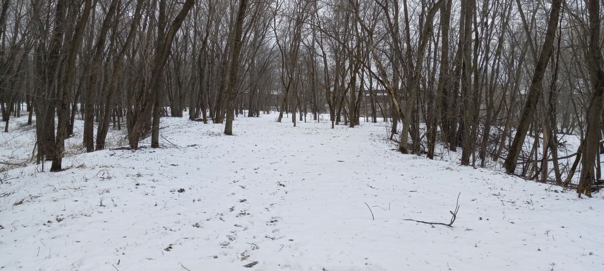 Hole nine fairway.