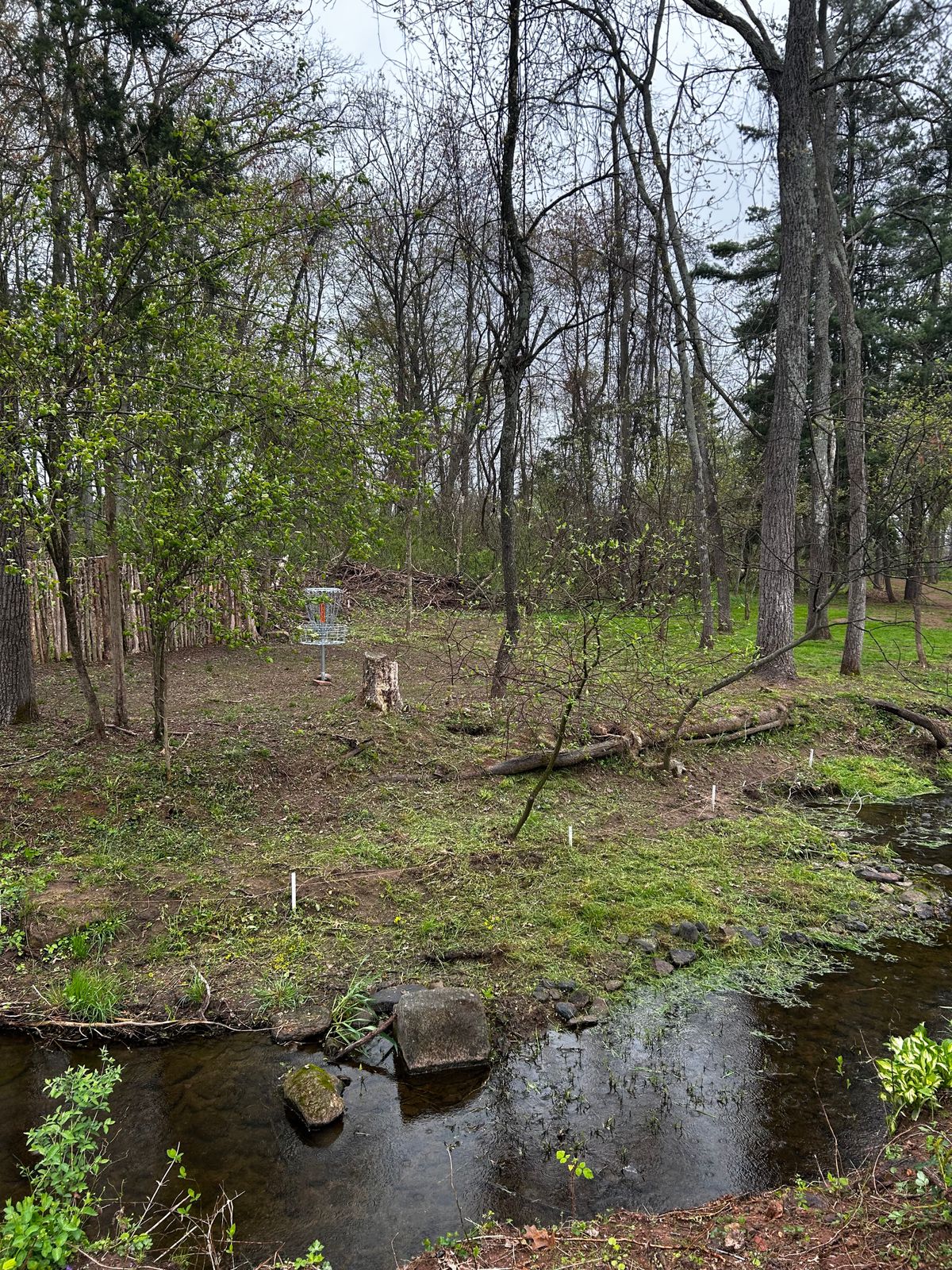 Looking at hole 5 from the back