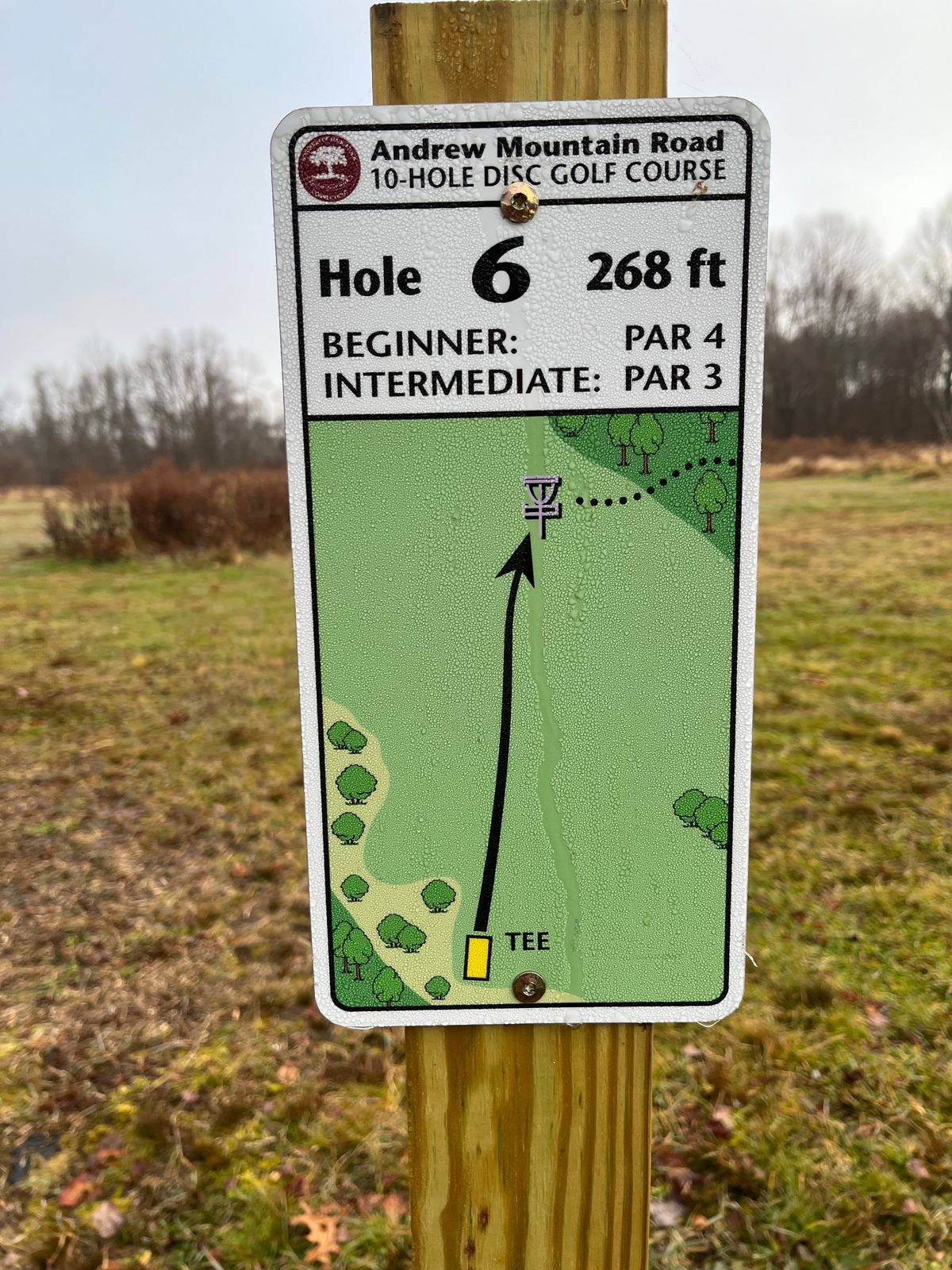 Hole 6