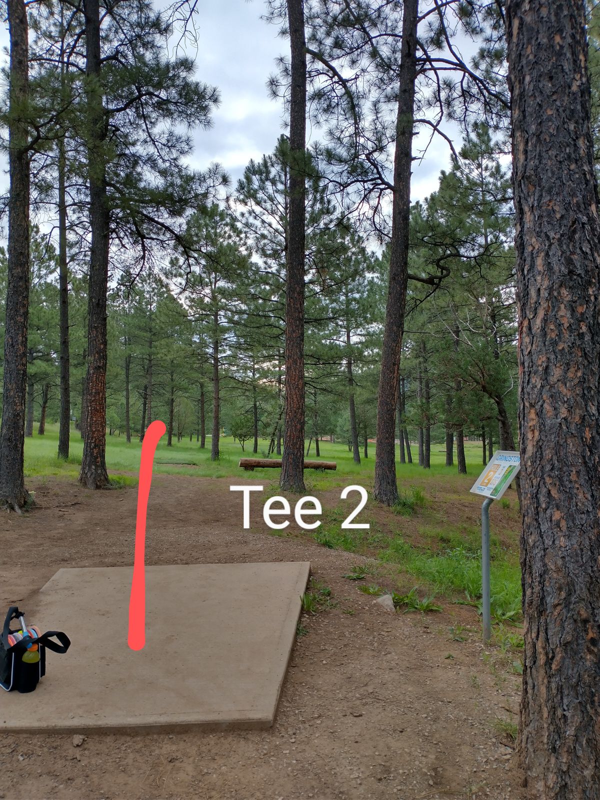 Tee 2