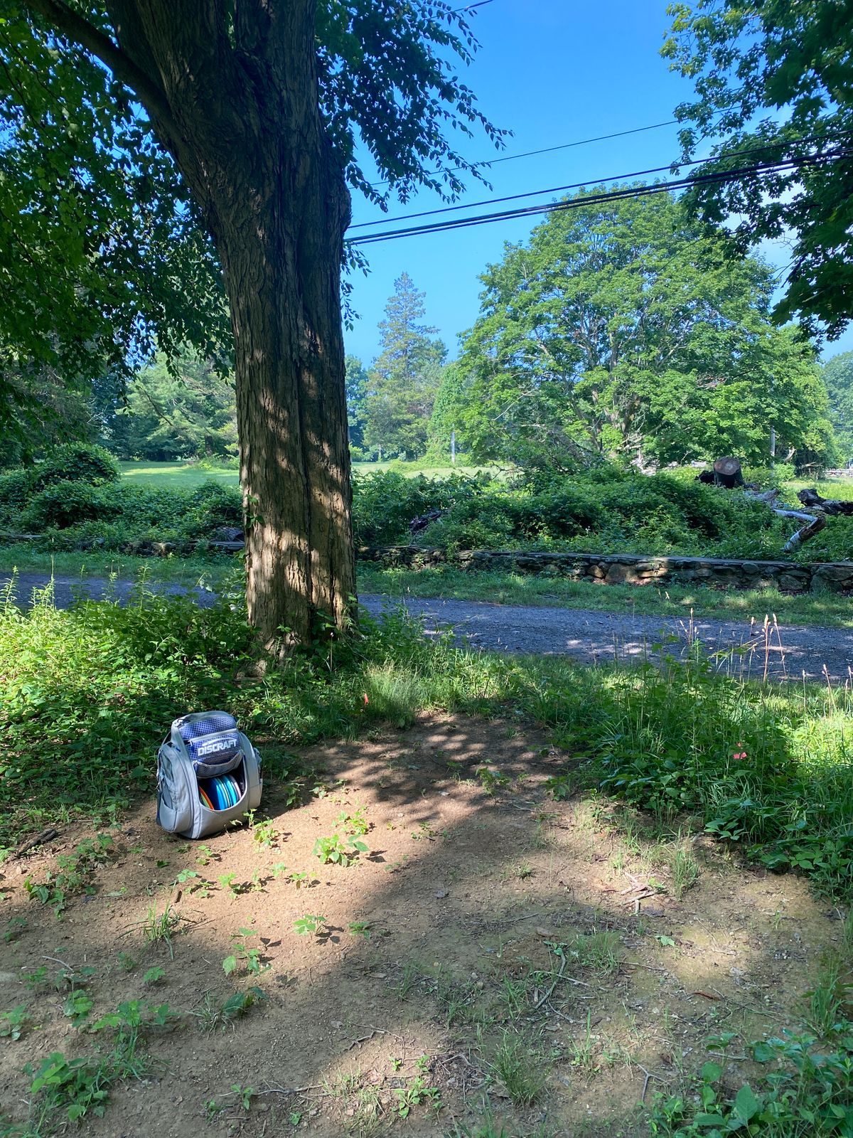 Original # 16 tee — basket has been removed.