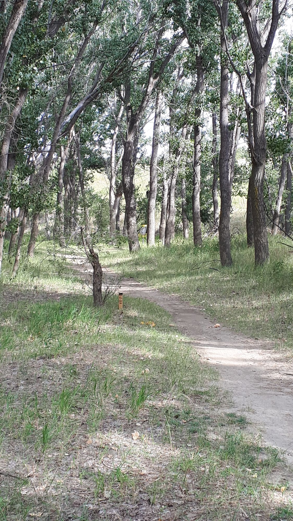 Hole 5 fairway