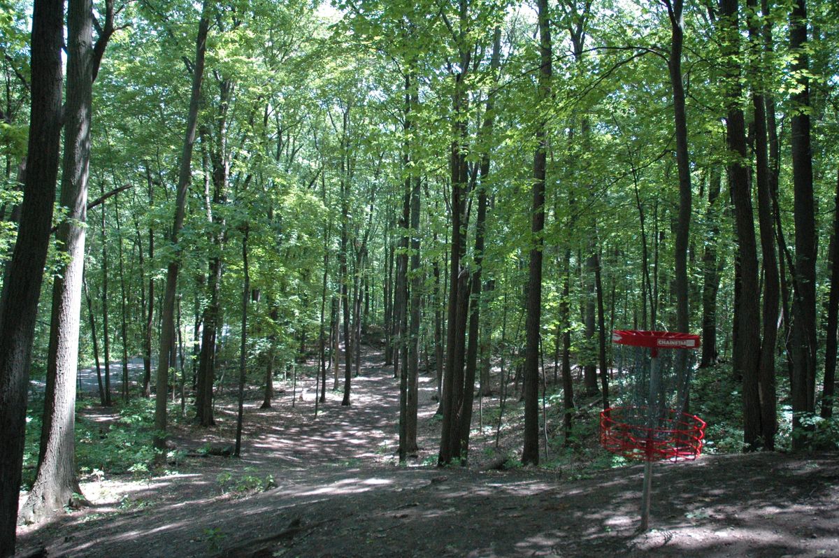 Hole 4 basket looking back towards tee pad