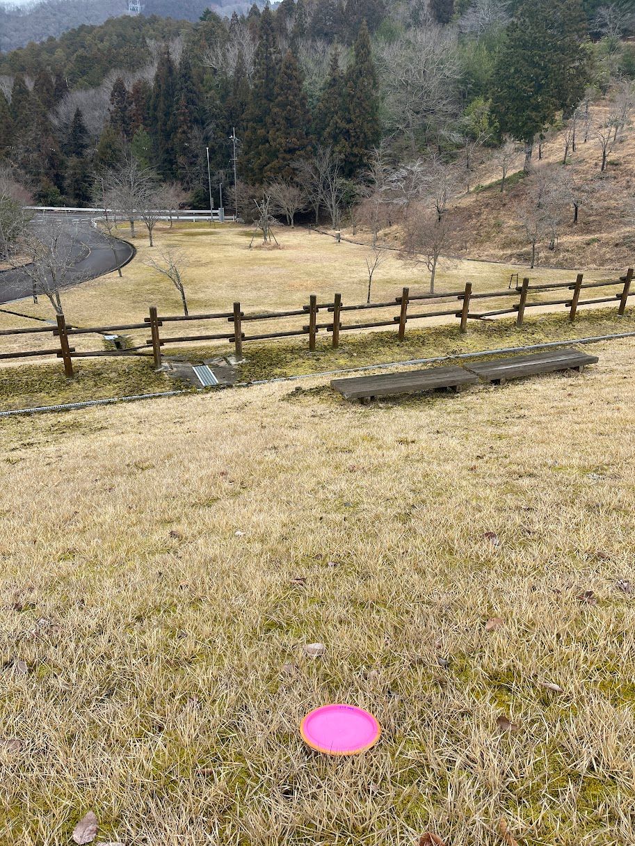 Hole 6 is a great downhill par 3. Super hole - the basket isn't visible from tee