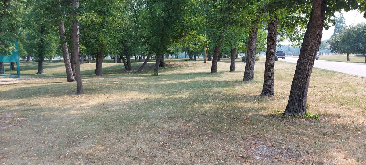 Tee pad 4 🍁🍂🍁🍂🍁