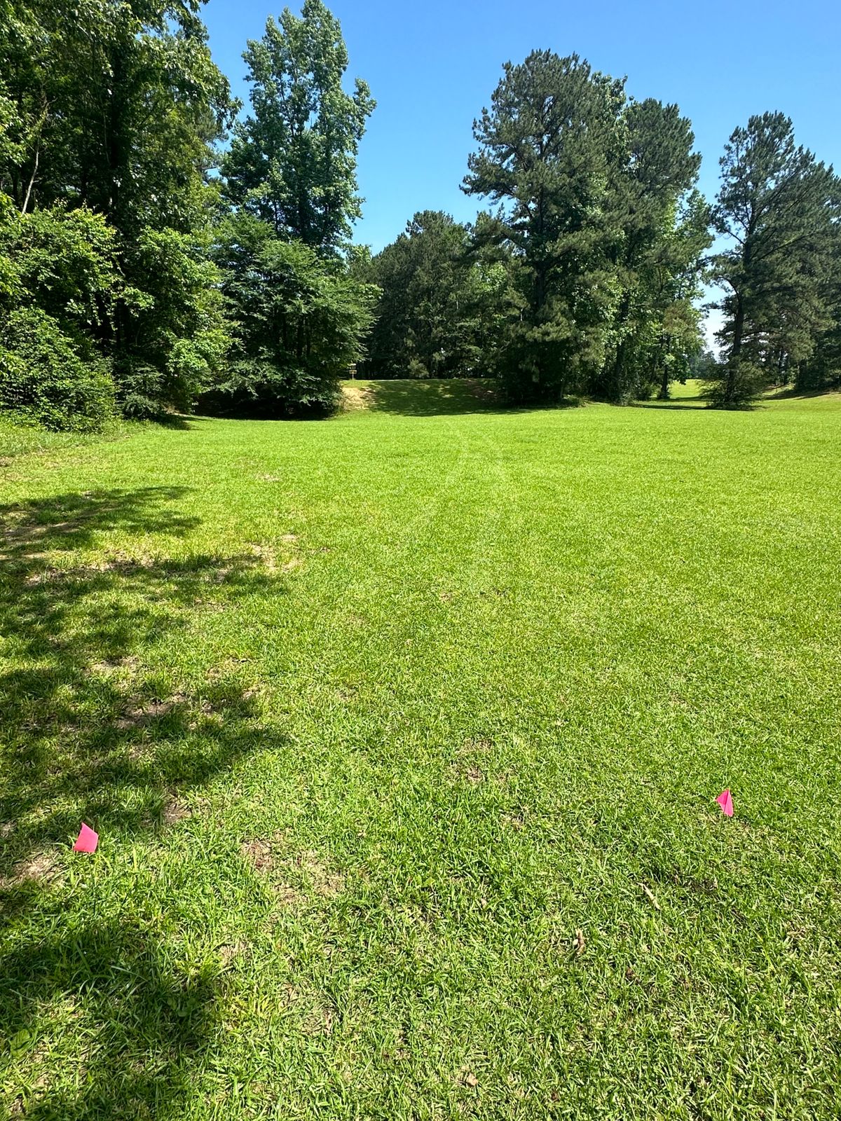 Hole 13 short and senior tee